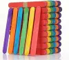 Thumbnail Ice Cream Craft Sticks Large (Multicolor)0