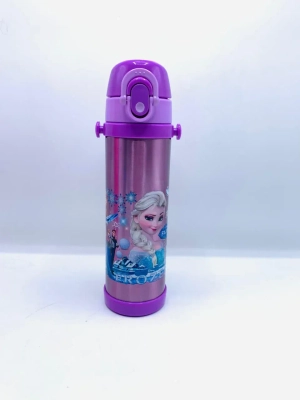 Frozen Theme Stainless Steel Water Bottle
