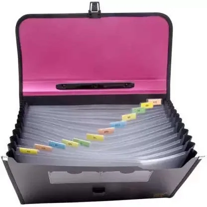 pImg-Expanding Document Bag (13 Pockets)2