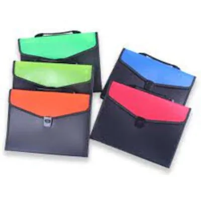 pImg-Expanding Document Bag (13 Pockets)3