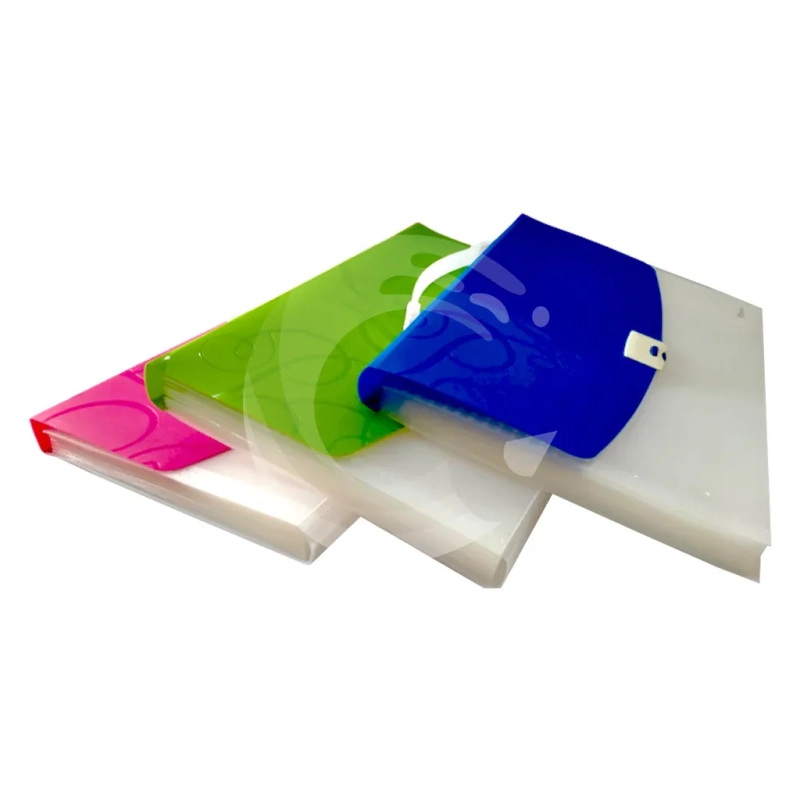 pImg-Expanding Document Bag (13 Pockets)6
